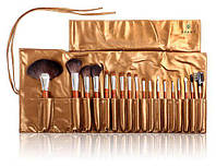 Набір пензлів для макіяжу SHANY Pro Brush Set Golden 18 pc