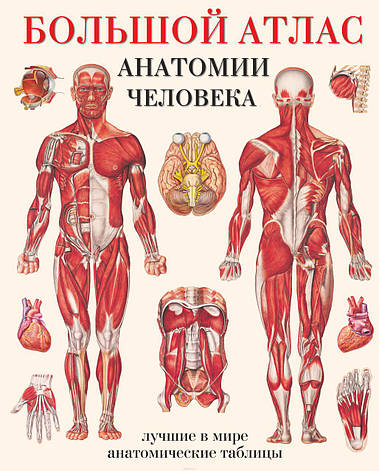 Великий атлас анатомії людини Махиянова, фото 2