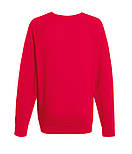 Чоловічий светр світшот Lightweight raglan, бавовна, фото 10