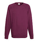 Чоловічий светр світшот Lightweight raglan, бавовна, фото 3