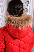 Зимова куртка на дівчинку «Маруся» 32,34 р, фото 3