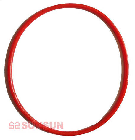 Кільце ущільнювальне до фільтру Sunsun HW - 602, фото 2