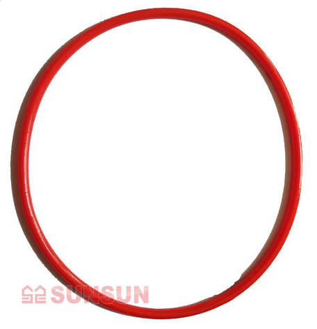 Кільце ущільнювальне до фільтру Sunsun HW - 603, фото 2