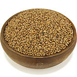 Сочевиця червона, насіння, фото 2