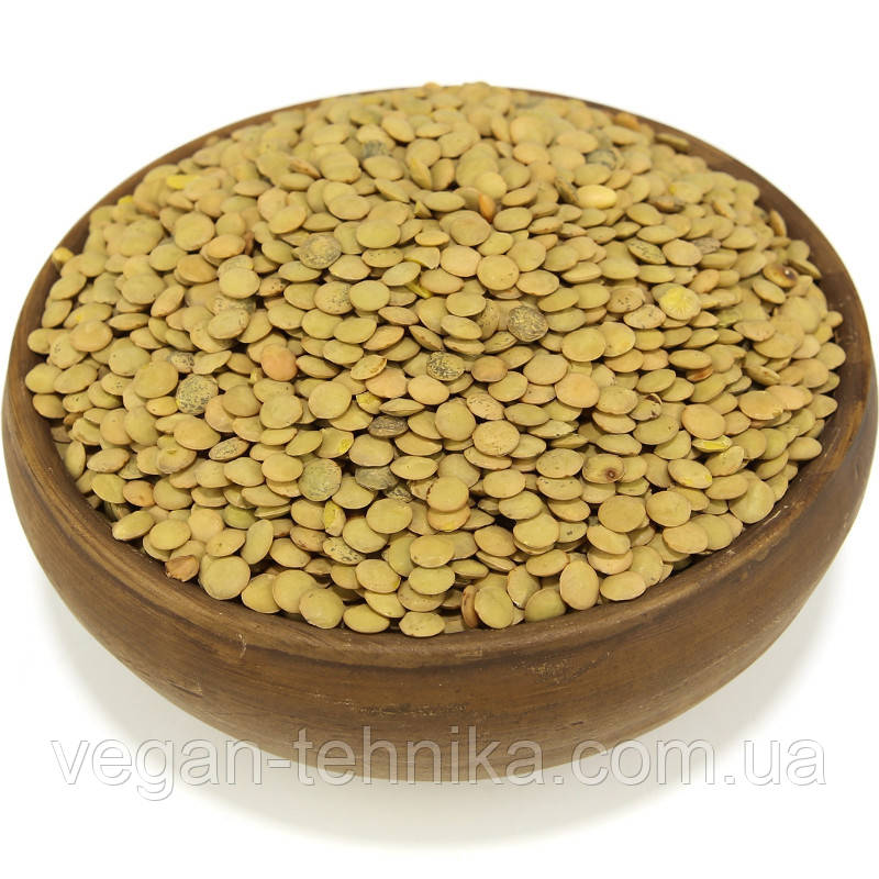 Чечевица зеленая, семена чечевицы - купить по лучшей цене в Украине ...