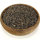 Соняшникове насіння у шкаралупі, фото 2