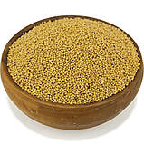 Гірчиця жовта, насіння, фото 2