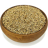 Жито зерно, крупа житня, фото 2