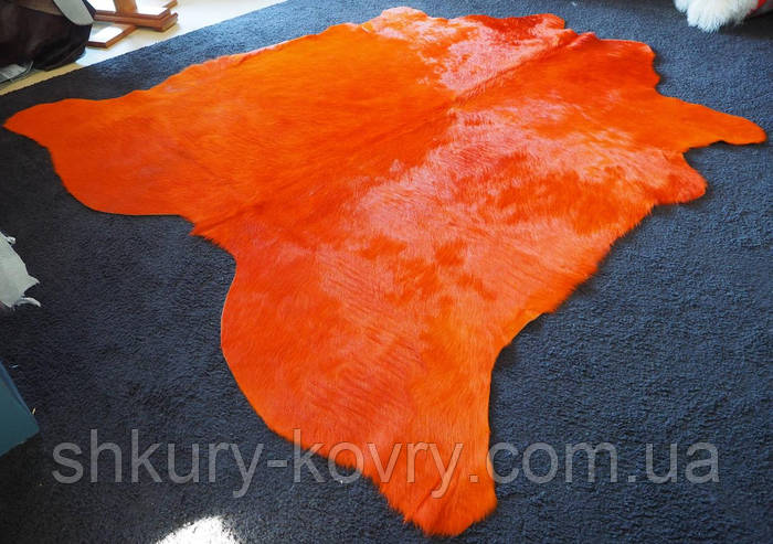 Купить Шкура коровы оранжевого цвета крашенная, купить цветные шкуры ...