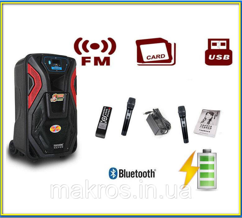Мобільна переносна колонка Temeisheng SL-12-03 USB/Bluetooth