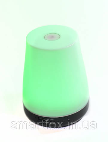 Портативна колонка Bluetooth WSTER WS-S02 USB, micro SD, FM, фото 1