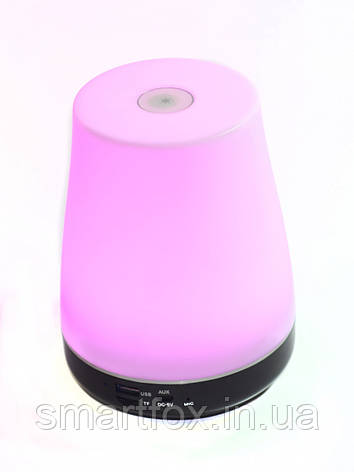 Портативна колонка Bluetooth WSTER WS-S02 USB, micro SD, FM, фото 3