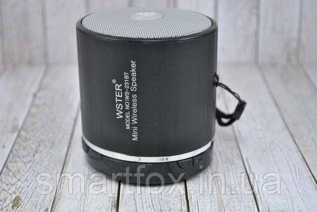 Портативна колонка Bluetooth WS-231BT
