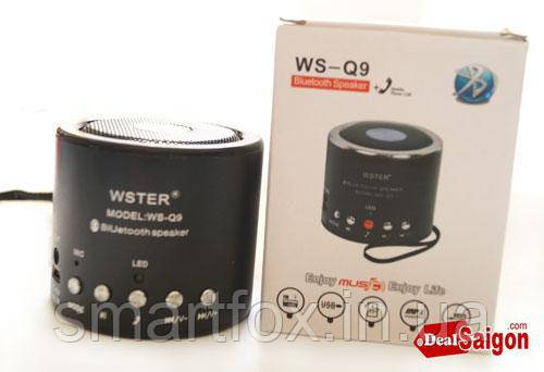Портативна колонка Bluetooth WS-Q9