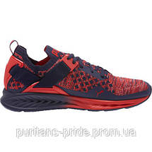 Чоловічі кросівки оригінал PUMA IGNITE EVOKNIT men's training shoes 2018, фото 2