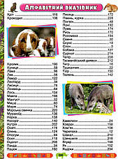 Велика енциклопедія про тварин, фото 3