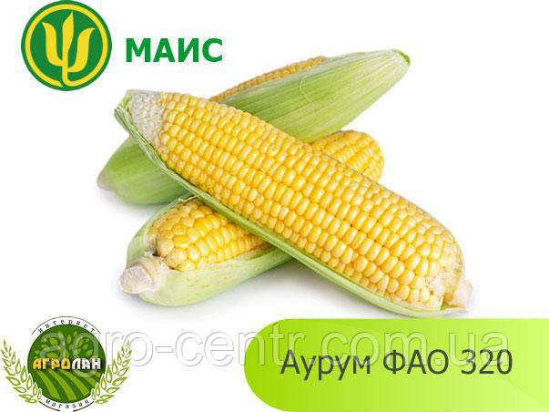 Насіння кукурудзи Аурум (ФАО 320)