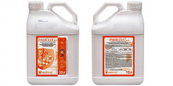 Прилипач Рапсол