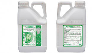 Прилипач Талант