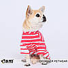 Футболка "Упс" для собаки, кішки IS PET. Одяг для собак., фото 9