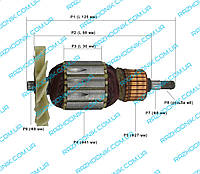 Якорь на шлифмашину STURM BS8580, ЭНЕРГОМАШ ЛШМ-85800