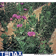 Шпалерна квіткова сітка Tenax / Тенакс HORTINET 7FG (Італія), фото 3