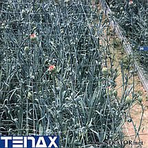 Шпалерна квіткова сітка Tenax / Тенакс HORTINET 7FG (Італія), фото 2