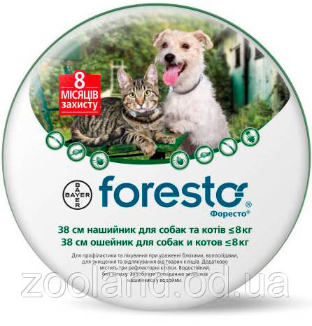 Bayer Форесто нашийник для котів і собак від бліх і кліщів, 38 см