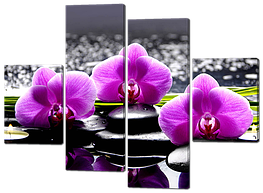 Модульна картина Орхідеї