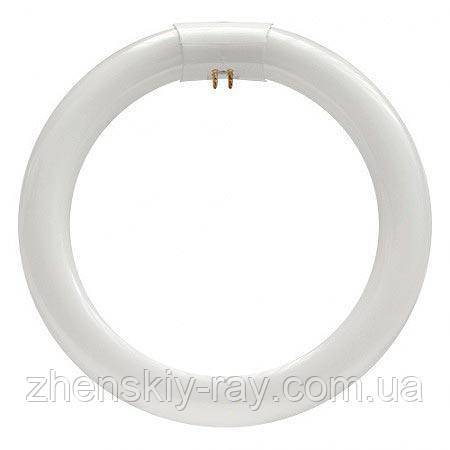 Змінна лампа до лампи-лупи