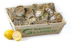 Устриця Спесіаль Жіллардо №3 (Франція) (мінімальне замовлення 36шт)