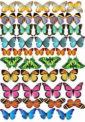 Вафельна картинка метелика, для торта