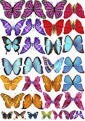 Вафельна картинка метелика, для торта