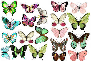 Вафельна картинка метелика, для торта