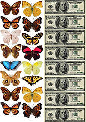 Вафельна картинка метелика, для торта