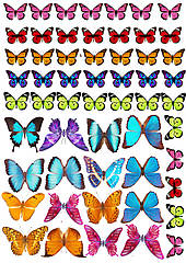 Вафельна картинка метелика, для торта