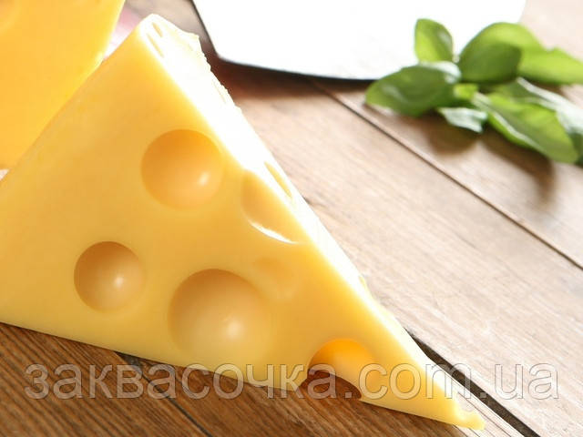 Закваска +фермент для МААСДАМ (+Propionici), фото 1