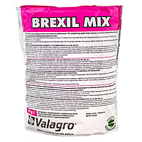 Brexil Mix 100g