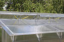 Теплиця Мітлайдер 3х8 преміум 8 мм, фото 6