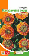 Календула Помаранчеве серце 0,5 г, насіння Яскрава, фото 2