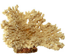 Декоративный коралл Ferplast BLU 9132