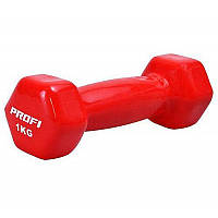 Гантелі вінілові для фітнесу 2 шт. по 1 кг