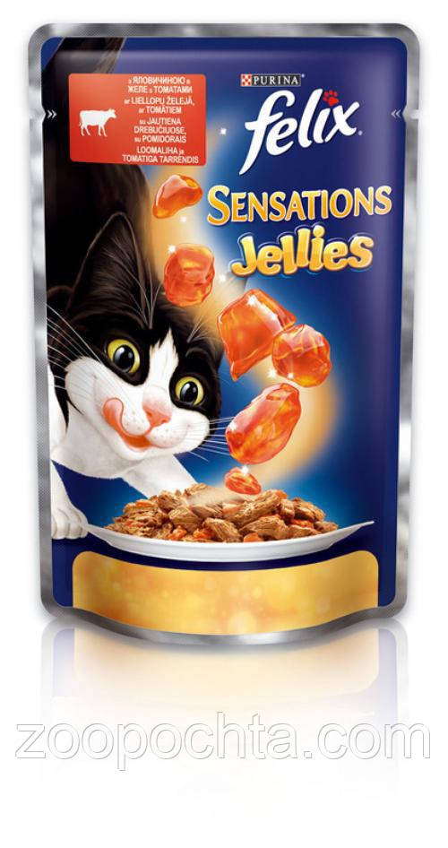 Консерви для кішок із яловичиною та томатами FELIX Sensations, 20*100 г