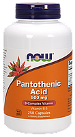 Пантотеновая Кислота (B5) 500мг, Now Foods, 250 капсул / Pantothenic Acid