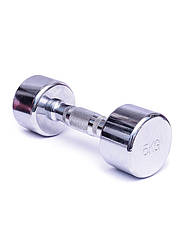 DB 305-5  ⁇  Гантель хром 5 кг