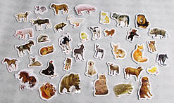 Дидактичний матеріал: "Тварини"