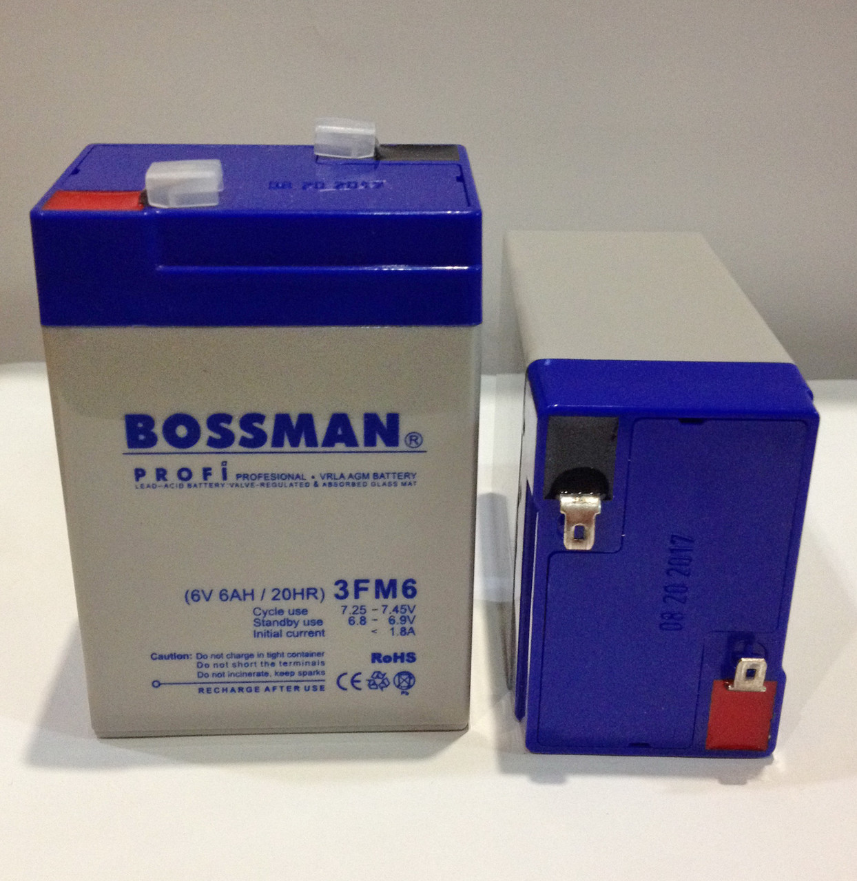 Акумулятор 6V 6Ah Bossman profi 3FM6 — LA660, фото 1