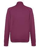 Чоловіча кофта на змійці Lightweight sweat jacket, бавовна, фото 10