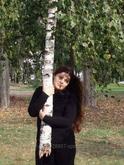 Пересаживание дерева возможно, если оно уже выросло взрослым растением