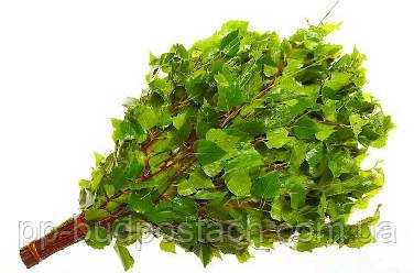 Все про лазні, Російська лазня для душі і тіла, Правильно паримося в російській лазні